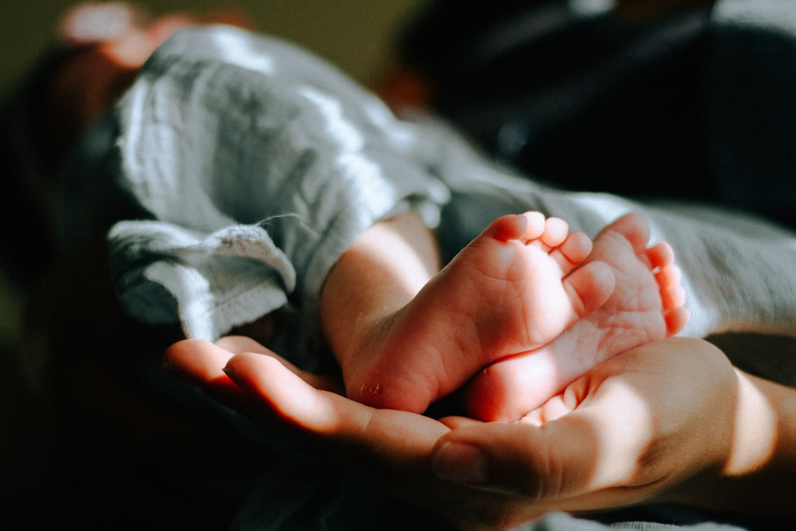 A newborn's feet cradled gently in a parent's hands, lit by warm window light